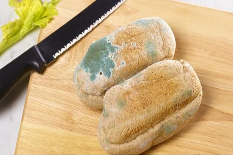 Dışarıda İki Gün Kalan Ekmek Neden Küflenir?