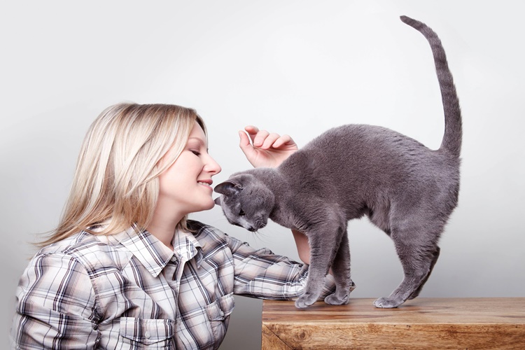 Dişi Kedi Erkek Sahibine Aşık Olur Mu?