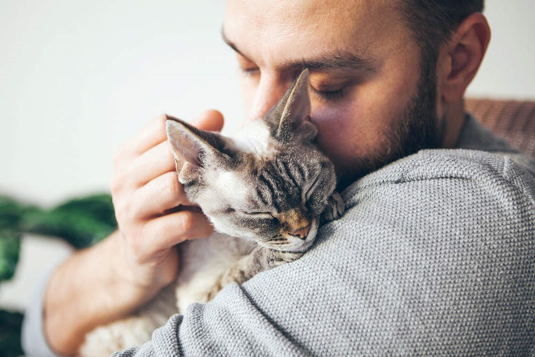 Dişi Kedi İnsana Aşık Olur Mu?