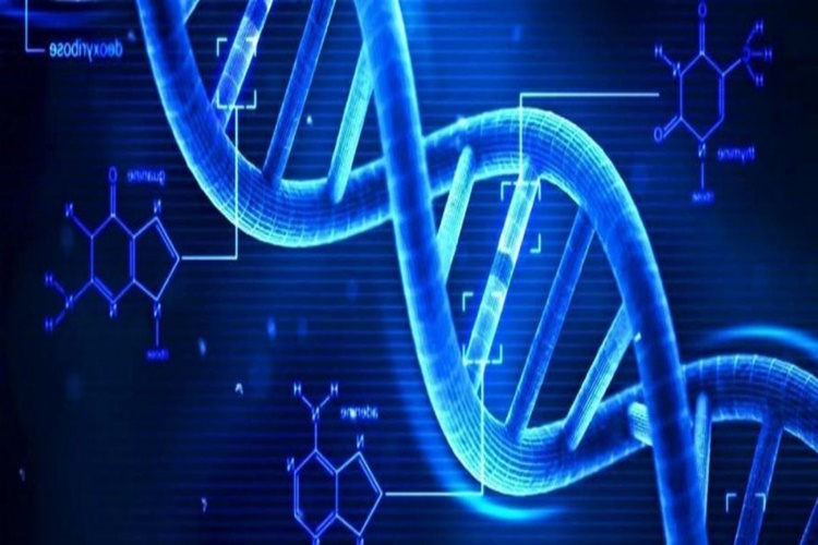 Dna Ne Zaman Keşfedildi?