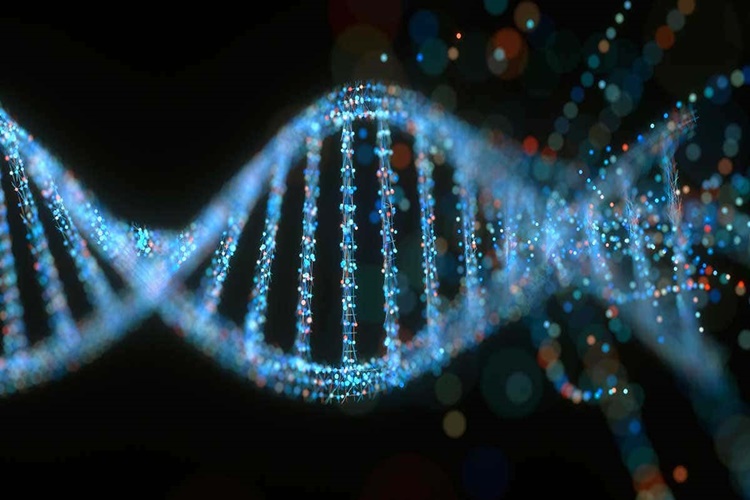 DNA Nedir?