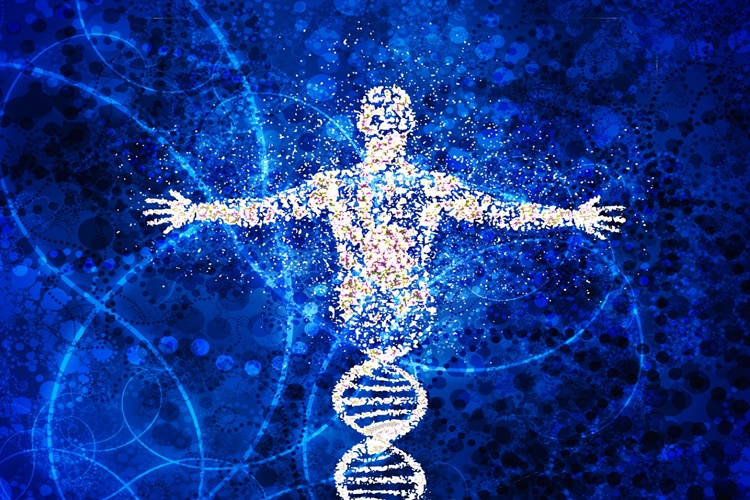 DNA Özellikleri Nelerdir?