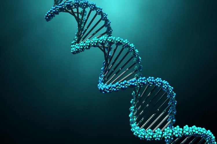 DNA’sı Olmayan Canlı Var Mıdır?