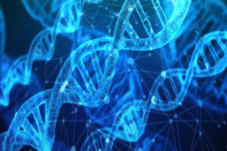 DNA Testi Neden Yapılır?