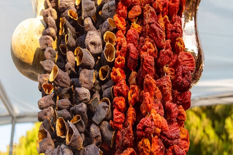 Dolma Biber Nasıl Kurur?
