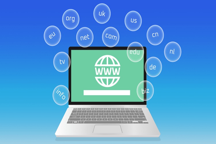 Domain Hosting Nedir?