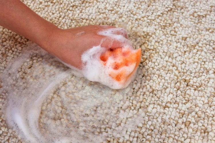 Domates Lekesi Halıdan Nasıl Çıkar?