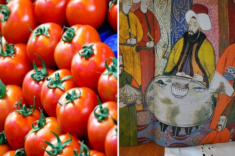 Domates Ne Zaman Keşfedildi?