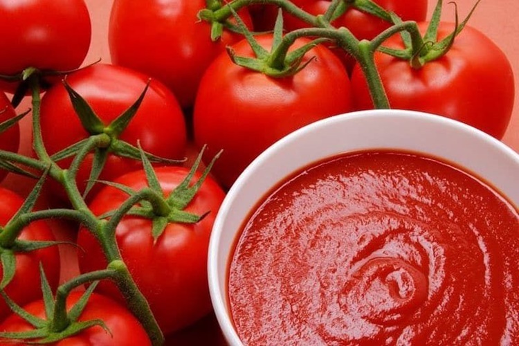 Domates Sosu Hangi Ayda Yapılır?