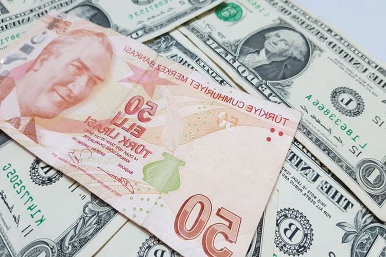 Dövize Endeksli TL Mevduatı Sistemi Nedir?