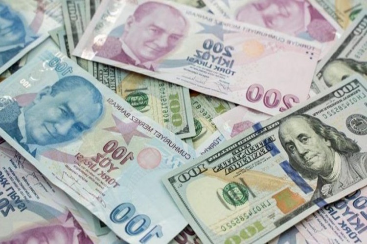Dövizin Bir Yıllık Getirisi Nedir?