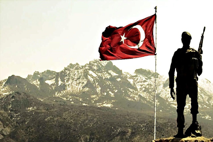 Dünya Genelinde Kaç Milyon Türk Vardır?
