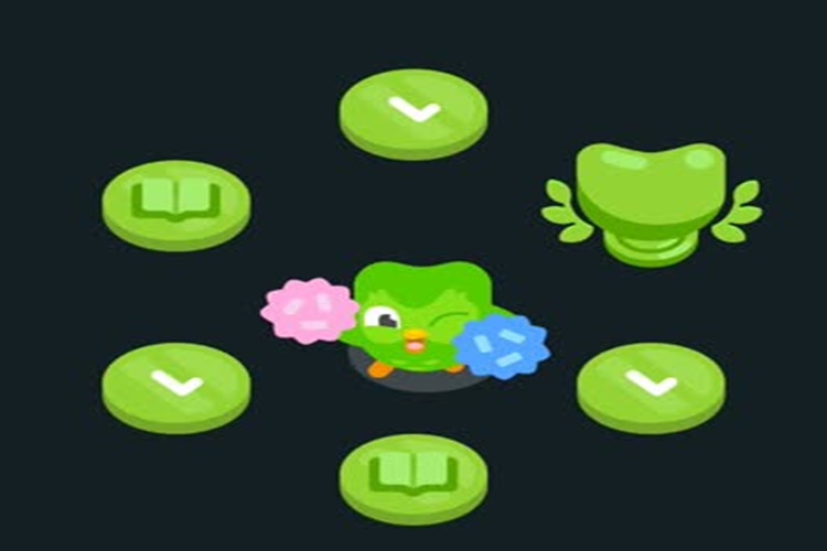 Duolingo Promosyon Kodu Ne İşe Yarar?