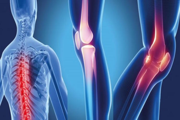 Duruş Bozukluğu İçin Hangi Doktora Gidilir?