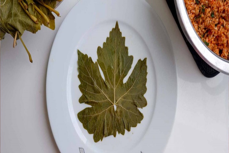 Dut Yaprağı Ne Zaman Toplanır?