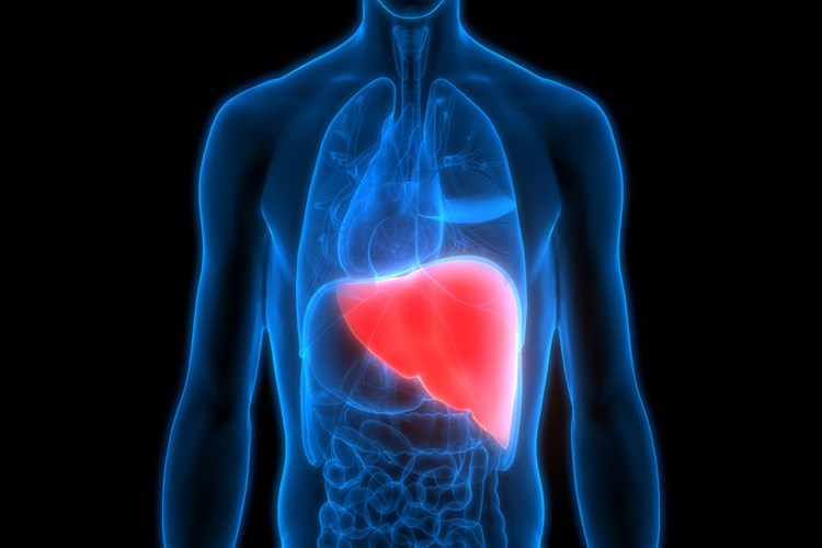 E Vitamini Fazlalığında Görülen Hastalıklar Nelerdir?