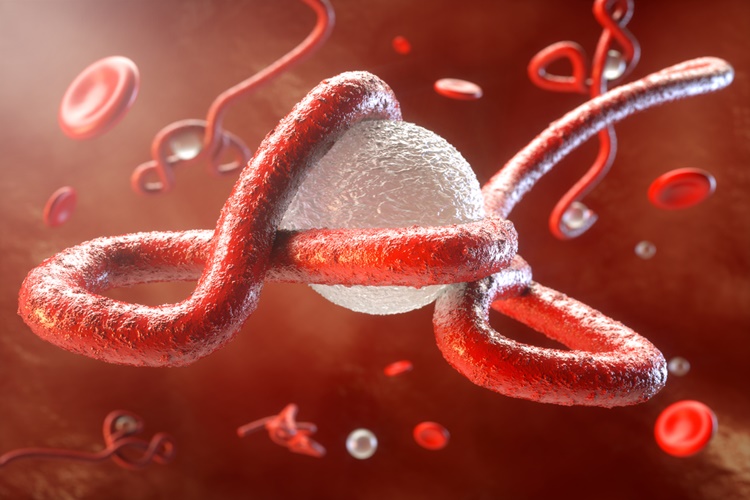 Ebola Cinsel Yolla Bulaşır Mı?