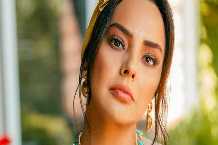 Ebru Gündeş Evli Mi?