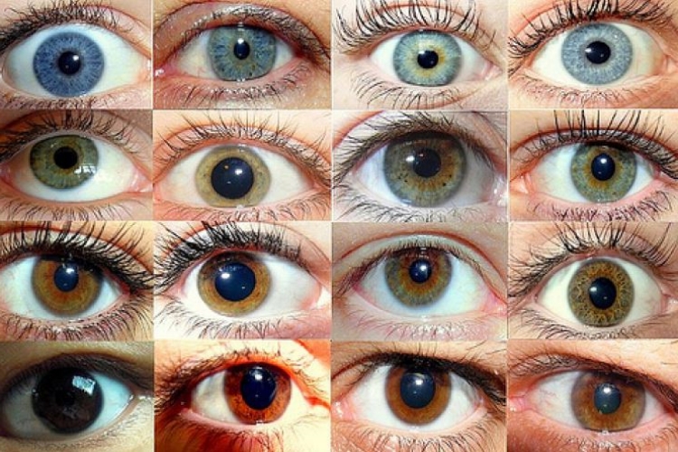 Eczanelerde Lens Solüsyonu Var Mı?
