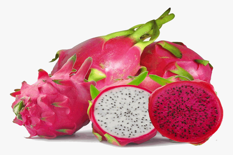 Ejder Meyvesi Nasıl Çoğaltılır? - Güncel Oku