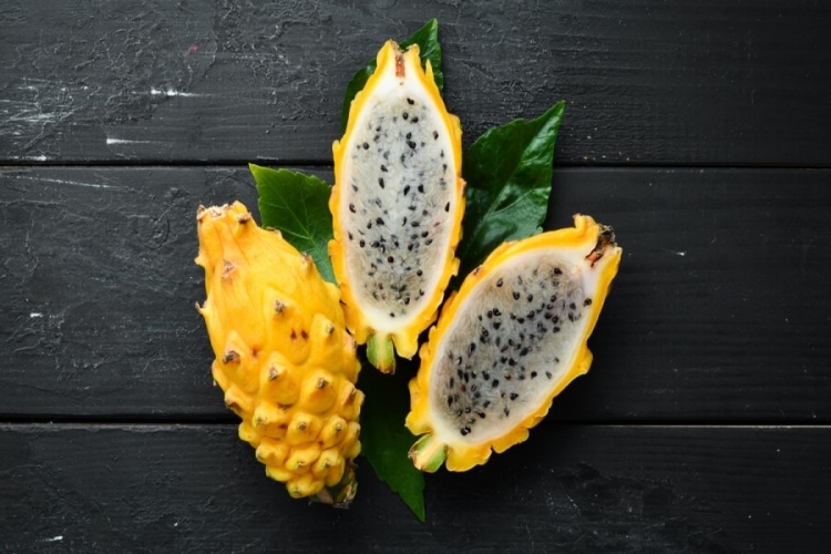 Ejder Meyvesi Tohumu Kaç Günde Çimlenir?