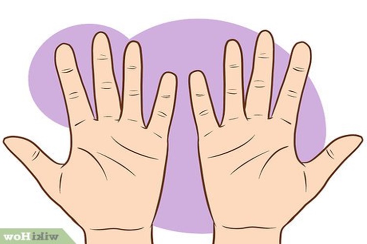 El Falına Nasıl Bakılır?