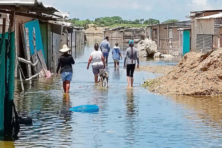 El Nino Olursa Ne Olur?