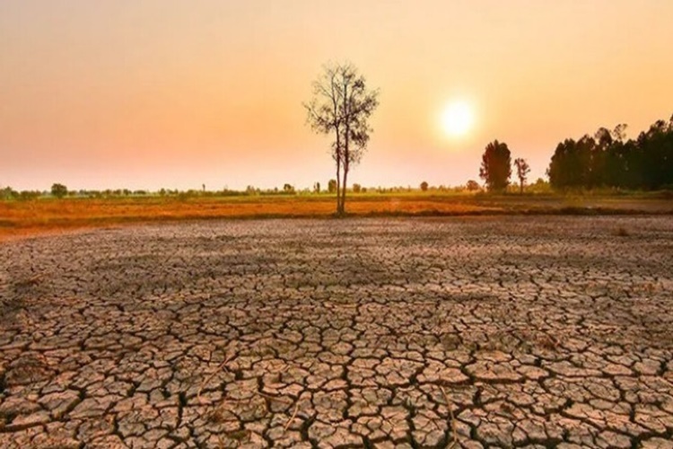 El Nino Türkiye’ye Etkisi Nedir?