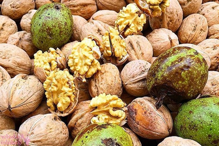 Elden Ceviz Lekesi Çıkar Mı?