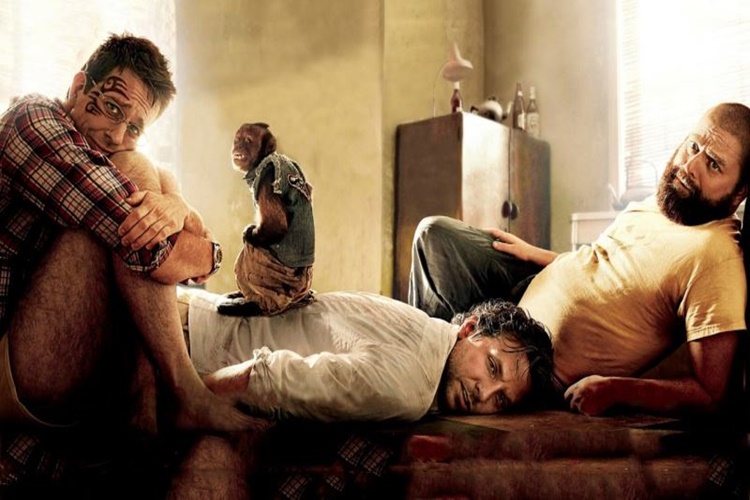 Emedur Uyku Yapar Mı?