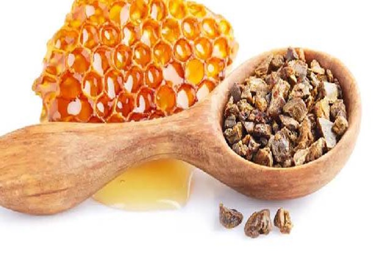 Emziren anne propolis kullanabilir mi?