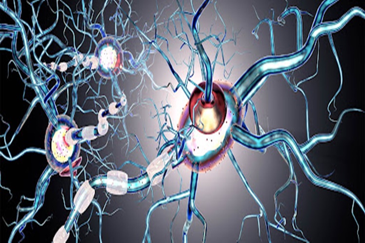 Epilepsi Ilaçları Böbreklere Zarar Verir Mi?