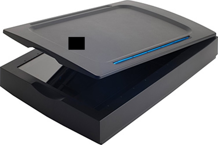 Epson Tarayıcı Ayarları Nasıl Yapılır?