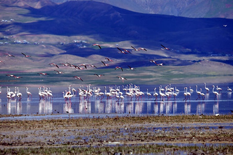 Erçek Gölüne Nasıl Gidilir?
