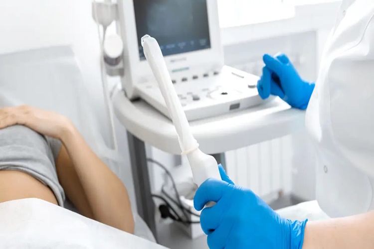 Erken Gebelik Ultrasonda Görülür Mü?