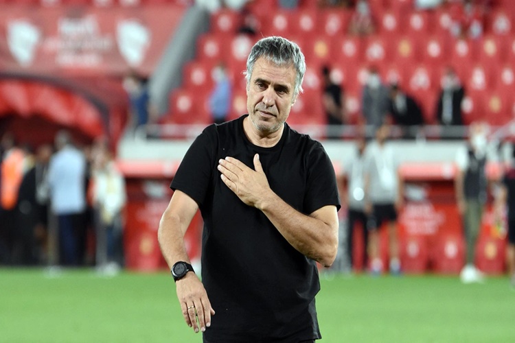 Ersun Yanal A Milli Takım?