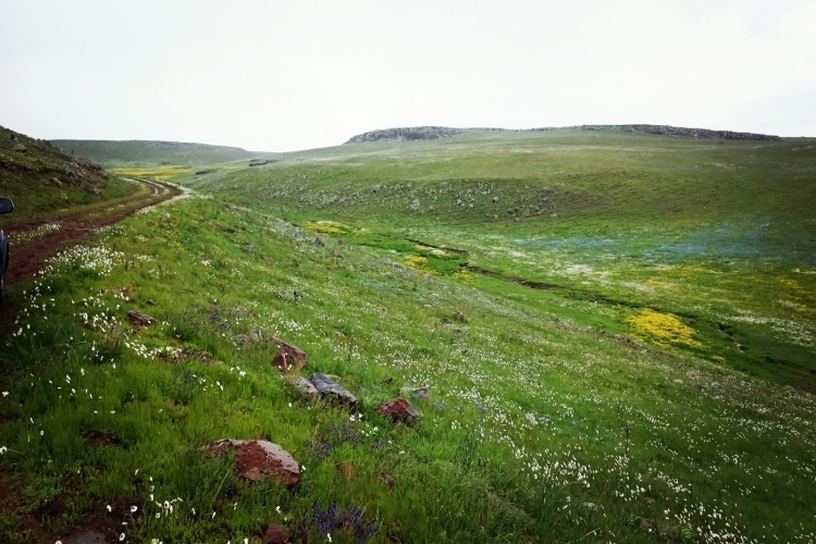 Erzurum Karayazı Nasıl Bir Yerdir?