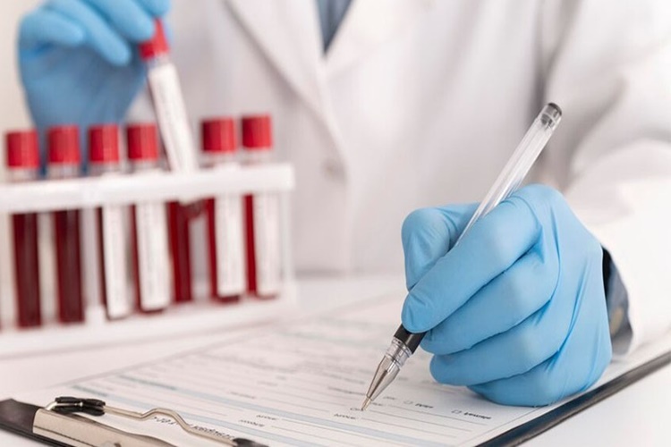 Estradiol Neyi Gösterir?