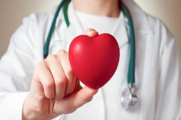 Eternal Heart Eczanede Satılır Mı?