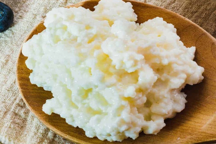 Evde Kefir Mayası Nasıl Yapılır?