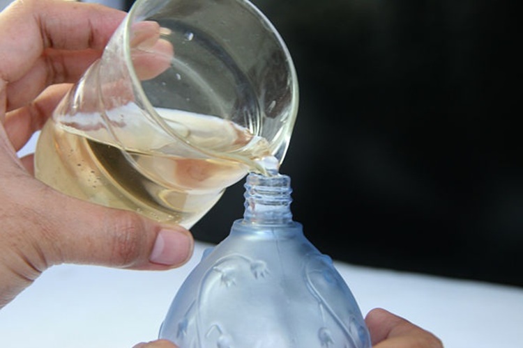 Evde Limon Kolonyası Nasıl Yapılır?