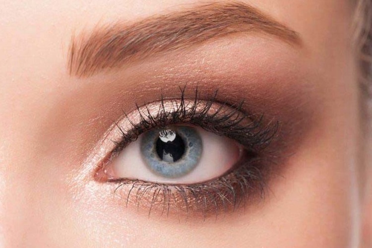 Evicap Kaş Çıkarır Mı?