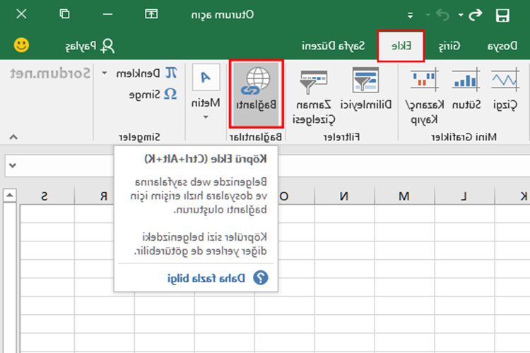 Excel Ekle Menüsü Aktif Değil Ne Yapmalı?