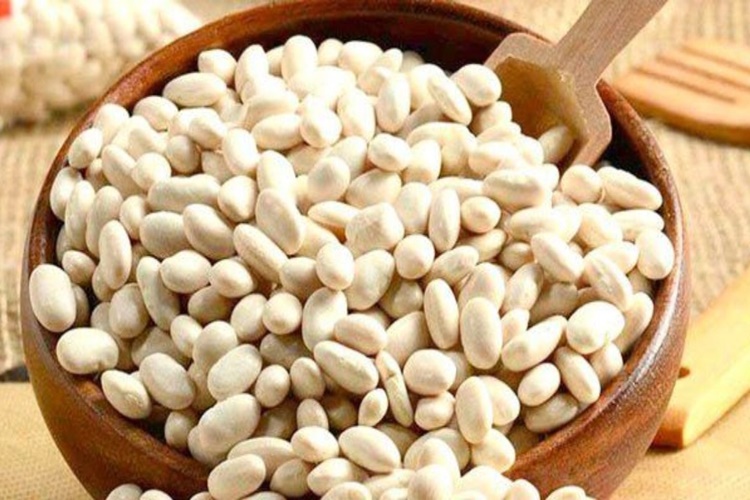 Fasulye Gluten İçerir Mi?