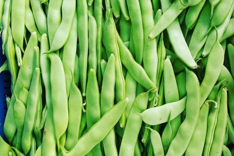 Fasulye Neden Dağılır?