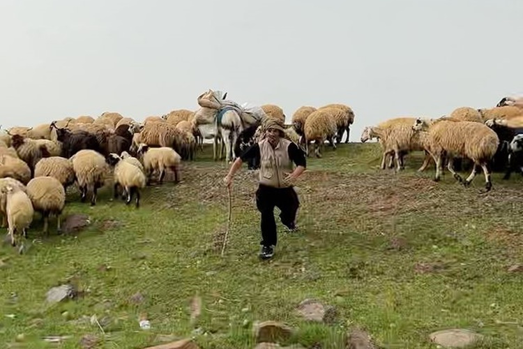 Fatih Yasin Nerede Oturuyor?