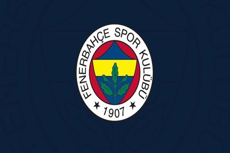 Fenerbahçe Kadın Futbol Takımı Kuruldu Mu?