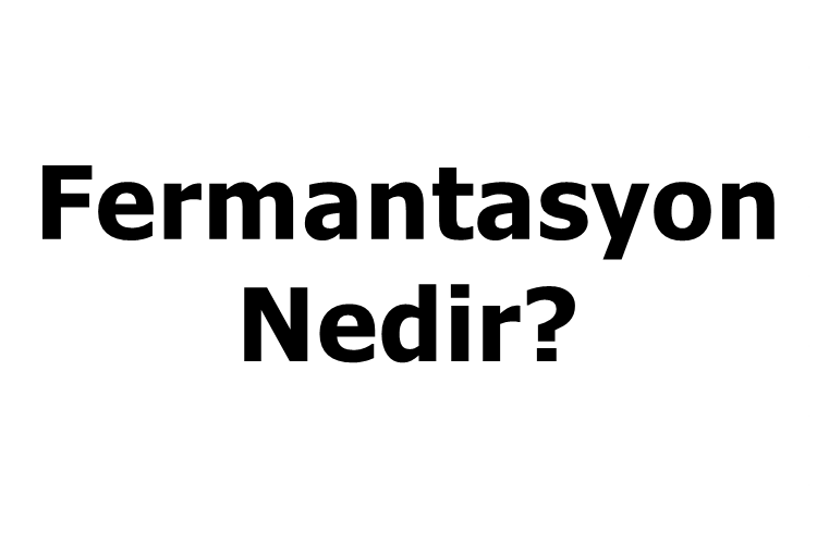 Fermantasyon Nedir? Güncel Oku