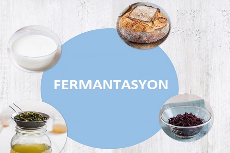 Fermantasyon Nedir?