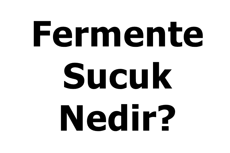 Fermente Sucuk Nedir?